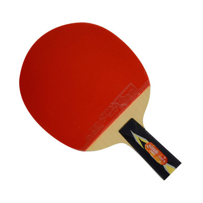 DHS/红双喜  直拍双面长反胶乒乓球拍  A3007