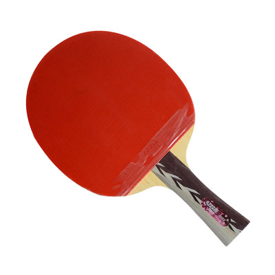 DHS/红双喜  横拍双面反胶乒乓球拍  A4002