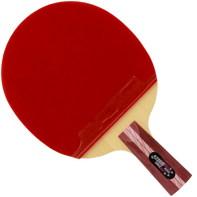 DHS/红双喜 直拍双面反胶乒乓球拍 R4006
