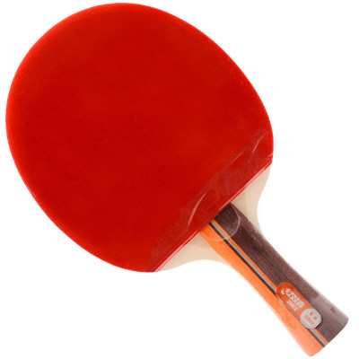 DHS/红双喜 横拍双面反胶乒乓球拍 R2002