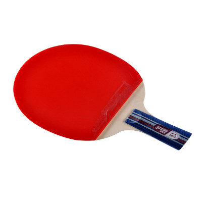 DHS/红双喜  直拍双面反胶乒乓球拍 A2006