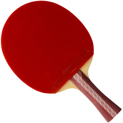DHS/红双喜 横拍双面反胶乒乓球拍 R4002
